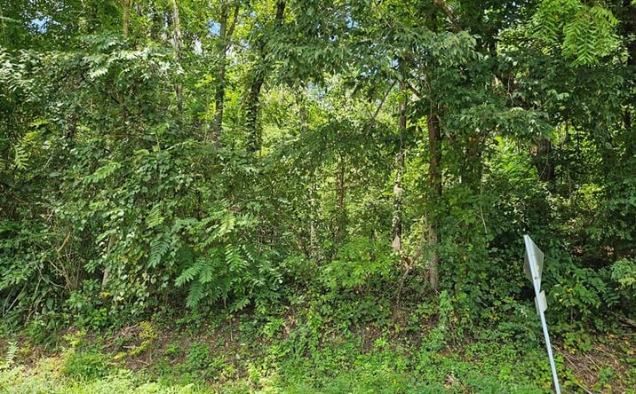 Pictures of Land, Multifamily property located at TBD Green Spring Road, Abingdon, VA 24210 for sales - image #1