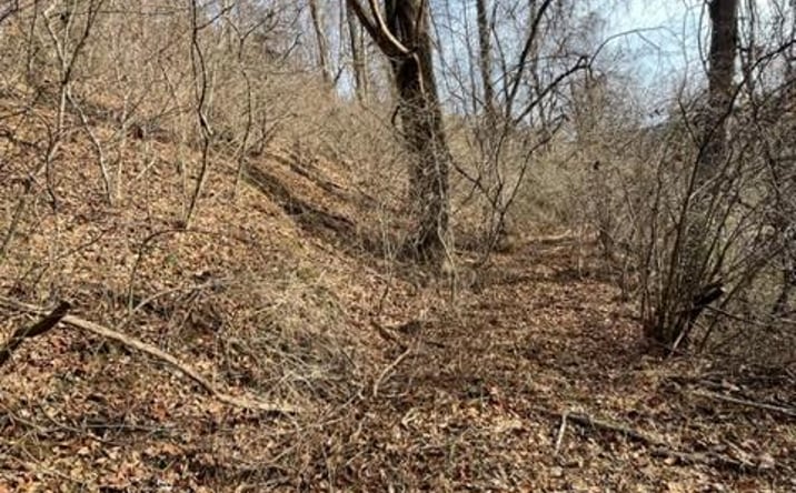 Pictures of Land, Multifamily property located at TBD Orchard Gap Rd, Fancy Gap, VA 24328 for sales - image #1