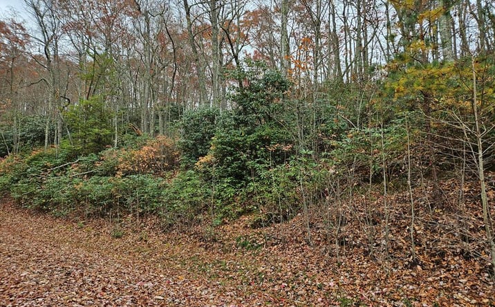 Pictures of Land, Multifamily property located at Lot 17 Fox Hollow Dr, Bastian, VA 24314 for sales - image #1
