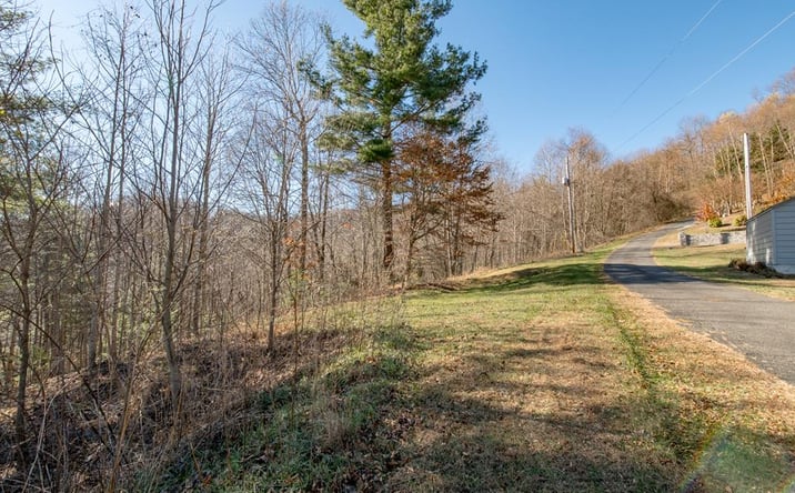 Pictures of Land, Multifamily property located at Lot 203 Covered Bridge Trl, Fancy Gap, VA 24328 for sales - image #1