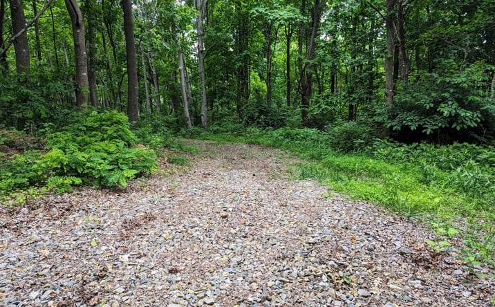 Pictures of Land, Multifamily property located at 0 Jeb Stuart Hwy, Meadows of Dan, VA 24120 for sales - image #1