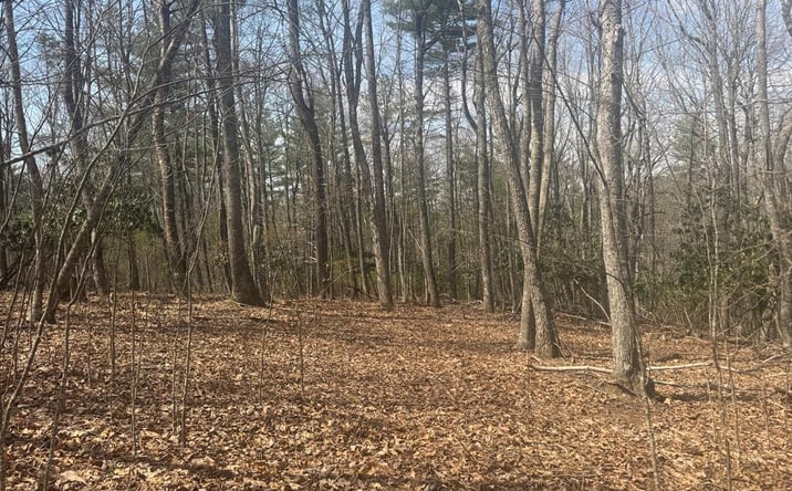 Pictures of Land, Multifamily property located at TBD Oak Valley Ln, Galax, VA 24333 for sales - image #1