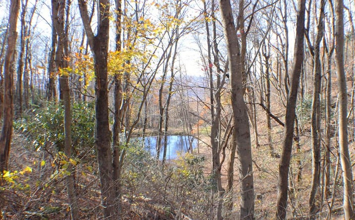 Pictures of Land, Multifamily property located at 1 Gulch Rd, Meadows of Dan, VA 24120 for sales - image #1