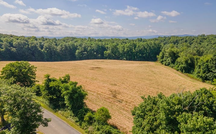 Pictures of Land, Multifamily property located at TBD Hanging Tree, Hillsville, VA 24343 for sales - image #1