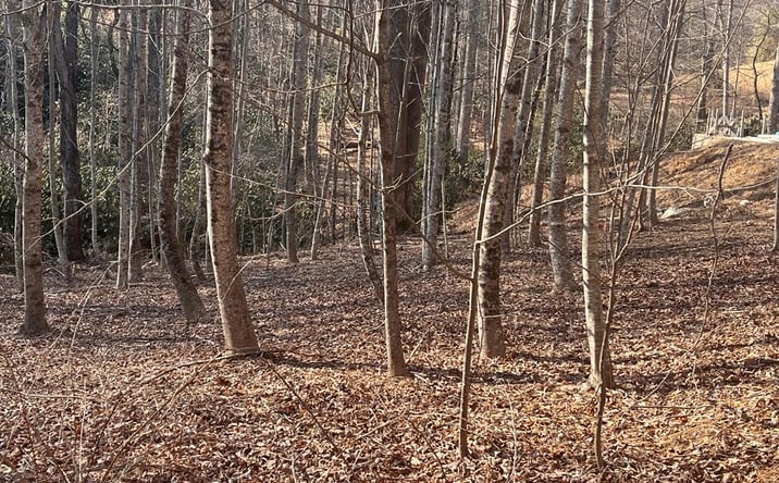 Pictures of Land, Multifamily property located at Tbd Brookside Tr, Fancy Gap, VA 24328 for sales - image #1