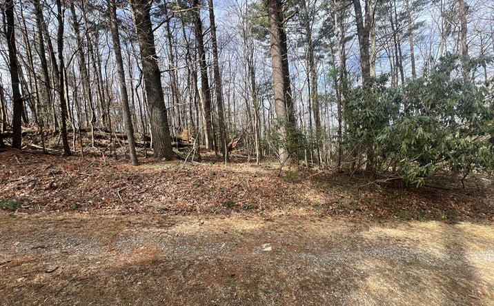 Pictures of Land, Multifamily property located at TBD Landscaped Lane, Fancy Gap, VA 24328 for sales - image #1