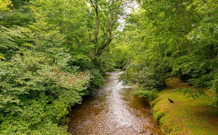 Pictures of Land, Multifamily property located at TBD Grandview Drive, Sparta, NC 28675 for sales - image #1
