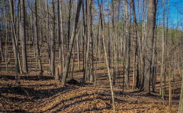 Pictures of Land, Multifamily property located at TBD Chestnut Falls Lane, Galax, VA 24333 for sales - image #1