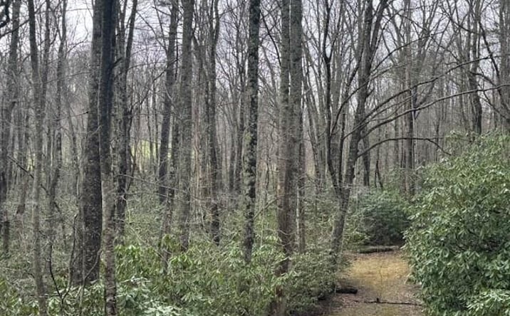 Pictures of Land, Multifamily property located at TBD Crooked Creek Lane, Fancy Gap, VA 24328 for sales - image #1