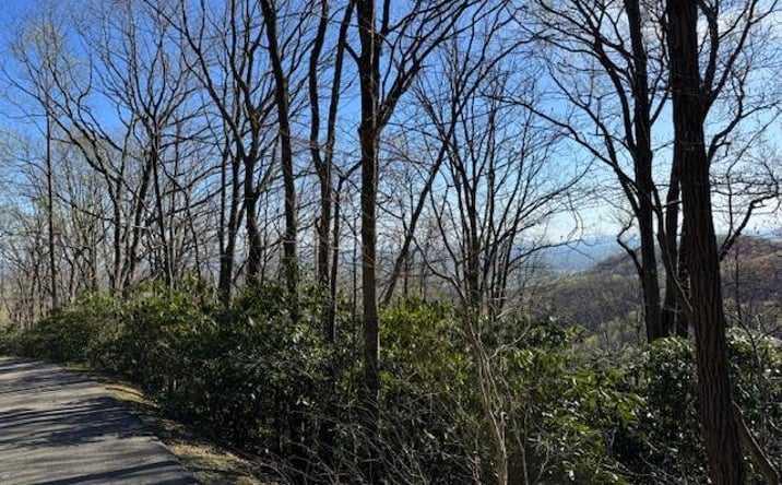 Pictures of Land property located at TBD Buck Hollar Rd., Hillsville, VA 24343 for sales - image #1
