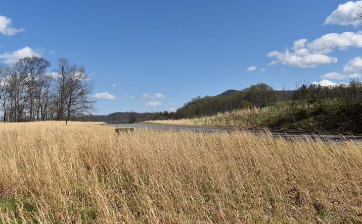 Pictures of Land, Multifamily property located at #49 River Walk Lane, Sparta, NC 28675 for sales - image #1