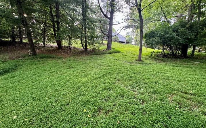 Pictures of Land, Multifamily property located at TBD Beth Scott Dr, Pulaski, VA 24301 for sales - image #1