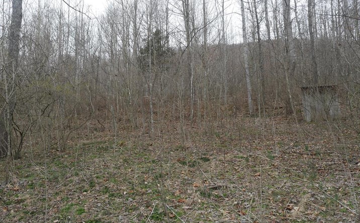 Pictures of Land, Multifamily property located at TBD Old Mill Road, Glade Spring, VA 24340 for sales - image #1