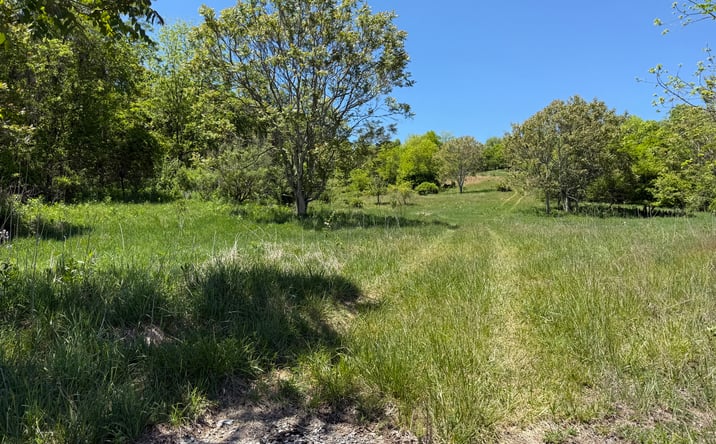 Pictures of Land property located at TBD Windy Drive, Marion, VA 24354 for sales - image #1