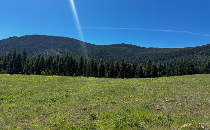 Pictures of Land property located at NHN Three Corners Road S, Trout Creek, MT 59874 for sales - image #1