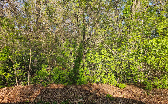 Pictures of Land property located at 3100 Kosciusko Street, Hobart, IN 46342 for sales - image #1