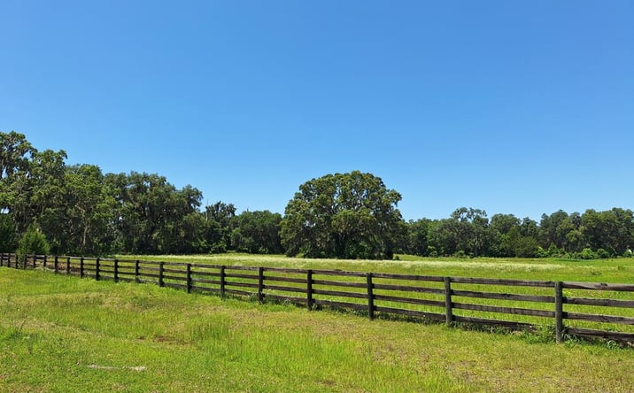 Pictures of Land property located at 000 NW 154th Ave. Rd., Morriston, FL 32668 for sales - image #1