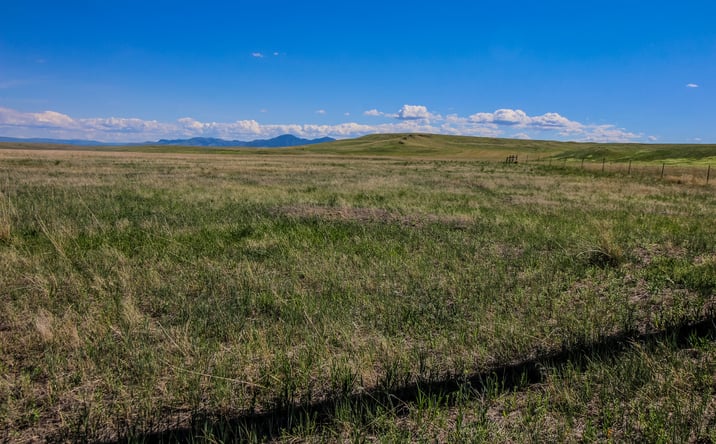 Pictures of Land property located at Tract 31 Old Ulm Cascade Road, Cascade, MT 59421 for sales - image #1