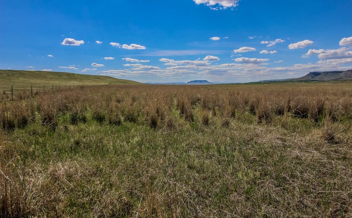 Pictures of Land property located at Tract 29 Old Ulm Cascade Road, Cascade, MT 59421 for sales - image #1