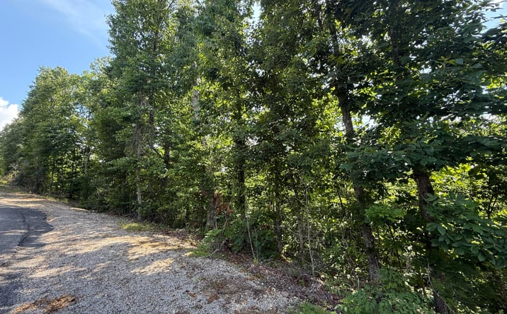 Pictures of Land property located at 0 Ridgeway Drive, Sugar Tree, TN 38380 for sales - image #1