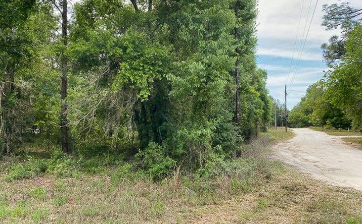 Pictures of Land property located at NE 67th St, Bronson, FL 32621 for sales - image #1