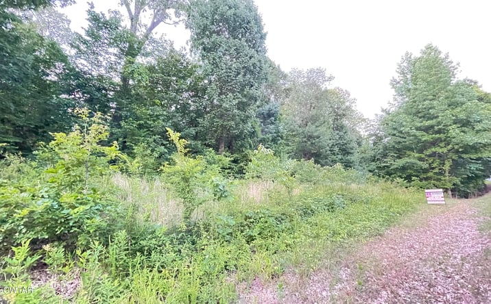 Pictures of Land property located at 00 Oliver Chapel Road, Bradford, TN 38316 for sales - image #1