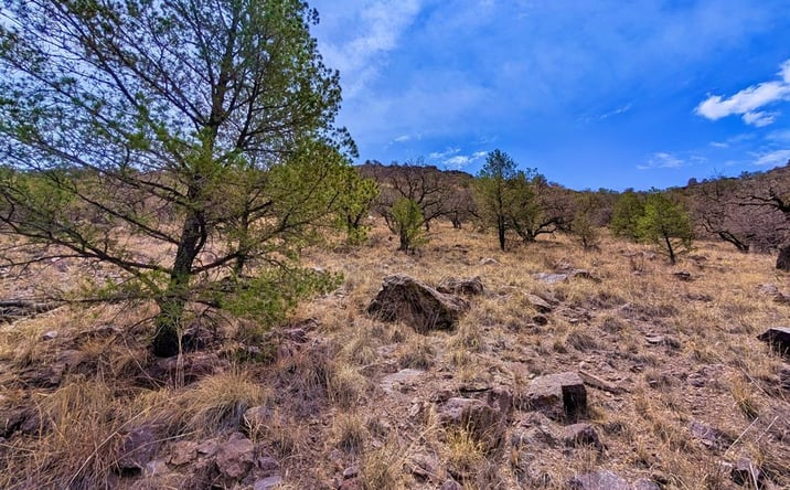 Pictures of Land, Multifamily property located at 109 Gun Club, Fort Davis, TX 79734 for sales - image #1
