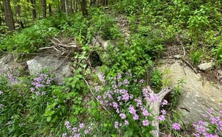 Pictures of Land, Multifamily property located at TBD Highlands Parkway, Mouth of Wilson, VA 24348 for sales - image #1