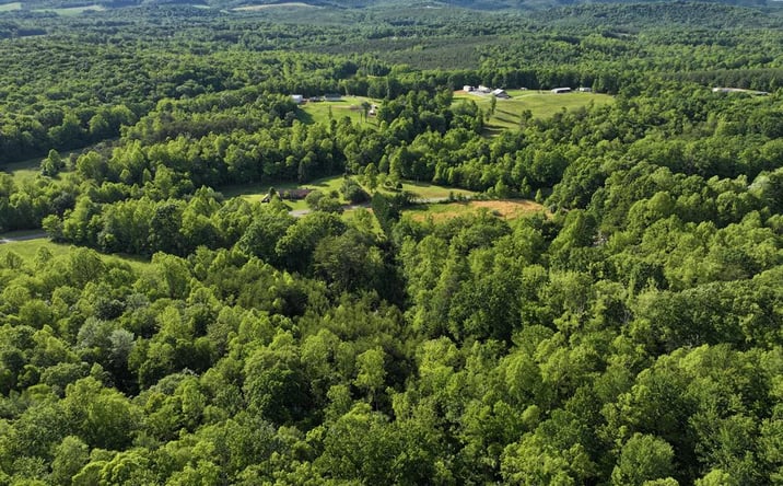 Pictures of Land, Multifamily property located at 0 Old Mill Rd, Patrick Springs, VA 24133 for sales - image #1