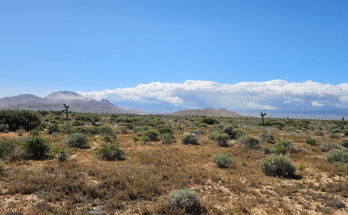 Pictures of Land property located at Jessica Ave, Mojave, CA 93501 for sales - image #1