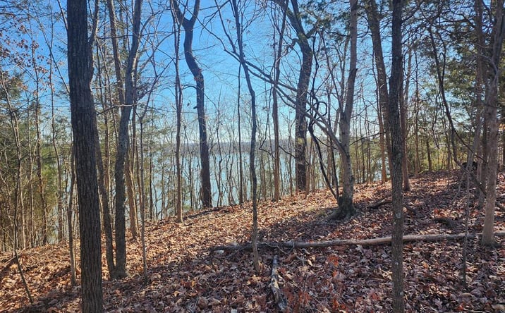 Pictures of Land property located at 00 Parkview Shores Rd., Cadiz, KY 42211 for sales - image #1