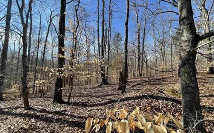 Pictures of Land property located at Lot 79 Woodfield Estates Dr, Cadiz, KY 42211 for sales - image #1