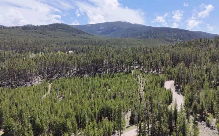 Pictures of Land property located at Lot 3 TBD Harris Road, Anaconda, MT 59711 for sales - image #1