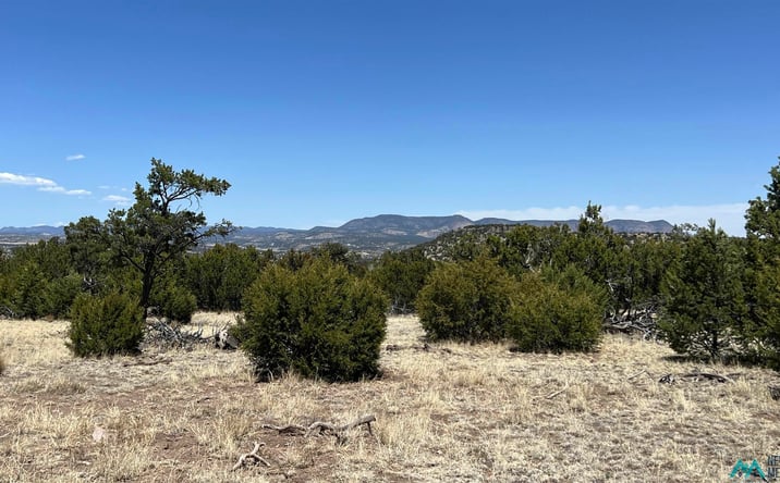 Pictures of Land property located at Lot 66 Wagon Trail Road, Datil, NM 87821 for sales - image #1