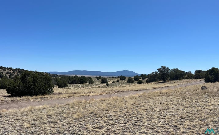 Pictures of Land property located at Lot 17 Golden Horseshoe Tr Road, Quemado, NM 87829 for sales - image #1