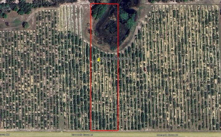 Pictures of Land property located at Lot 6 Mammoth Grove Rd, Lake Wales, FL 33898 for sales - image #1