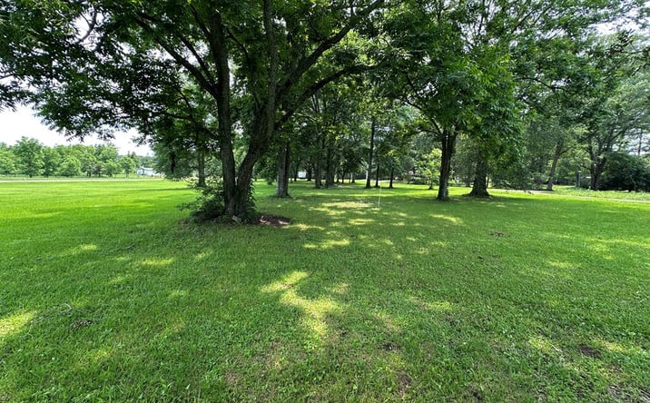 Pictures of Land property located at 353 Old Hwy 24 W, Foxworth, MS 39643 for sales - image #1