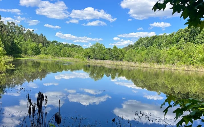 Pictures of Land property located at Bull Branch Rd, Midville, GA 30441 for sales - image #1