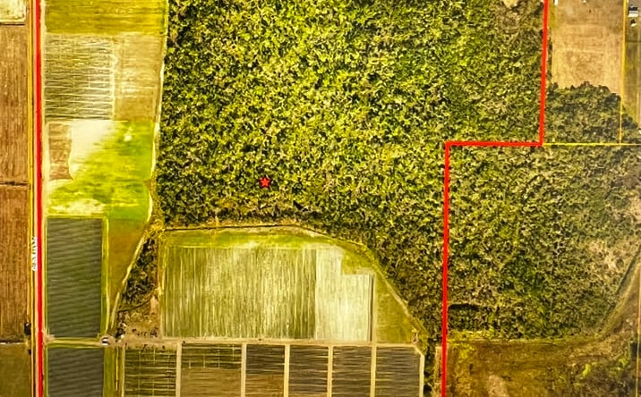 Pictures of Land property located at 16423 Sweat Loop Rd, Lithia, FL 33547 for sales - image #1