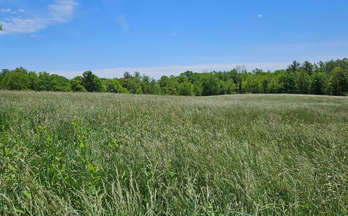 Pictures of Land property located at 0 True Rd, Hinton, WV 25951 for sales - image #1