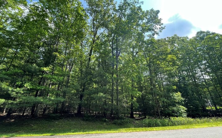 Pictures of Land property located at 0 Saddlebrooke Ln, Daniels, WV 25832 for sales - image #1