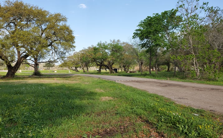 Pictures of Land property located at 105 Country Oaks St, Brazoria, TX 77422 for sales - image #1