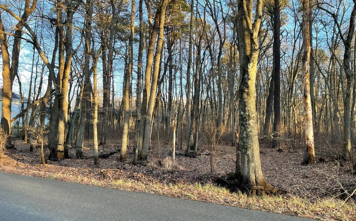Pictures of Land property located at 35 Birch Street, Old Bridge, NJ 08857 for sales - image #1