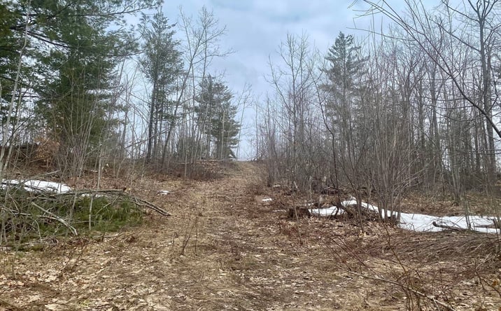 Pictures of Land property located at 7.6 Acres Trails End St, Gaylord, MI 49735 for sales - image #1