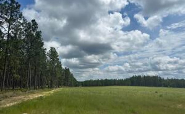Pictures of Land property located at 00 /Lot 23 Snipes Pond Rd, Aiken, SC 29805 for sales - image #1