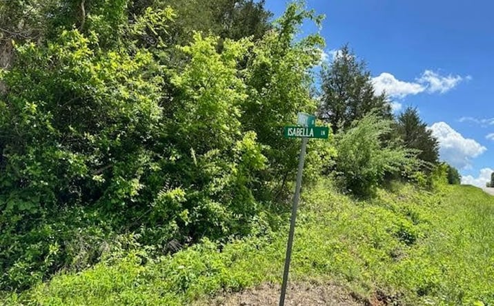 Pictures of Land property located at 101 Isabella Ln, Horseshoe Bend, AR 72512 for sales - image #1