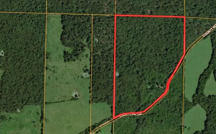Pictures of Land property located at 1529 County Road 102, Alton, MO 65606 for sales - image #1