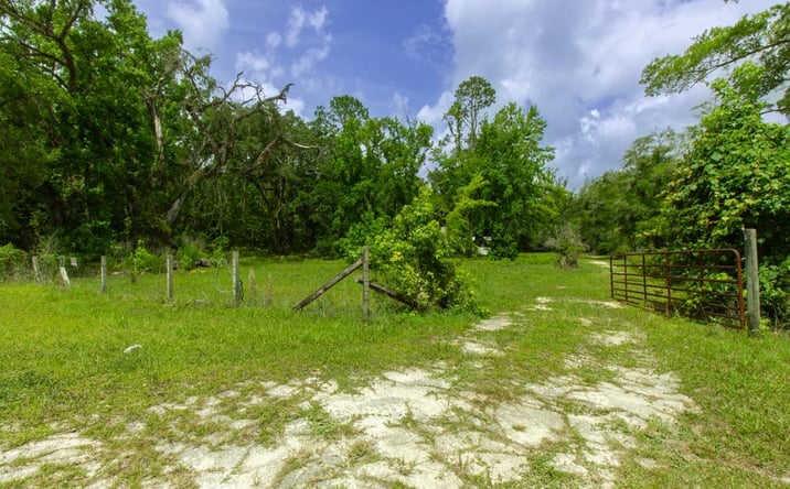 Pictures of Land property located at 262 NE 539th St, Old Town, FL 32680 for sales - image #1