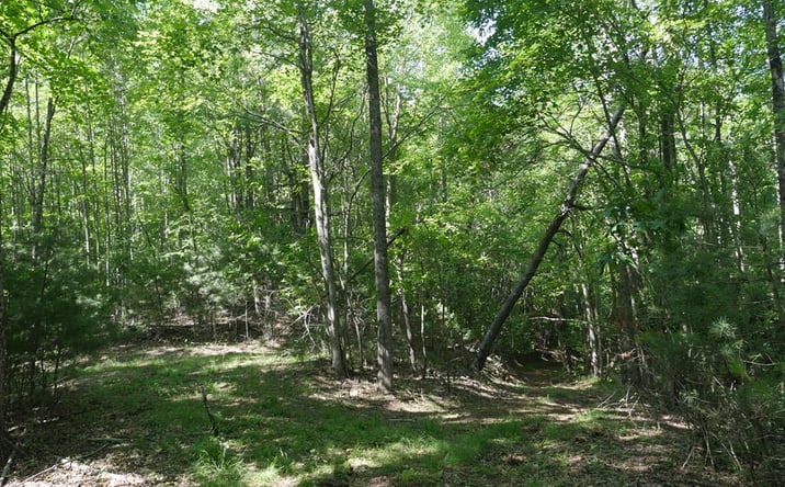 Pictures of Land, Multifamily property located at TBD Bedsaul Road, Galax, VA 24333 for sales - image #1