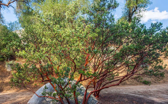 Pictures of Land property located at Poppet Flats and Cryer Rd, Banning, CA 92220 for sales - image #1